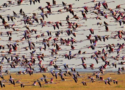 Parque Nacional de Doñana